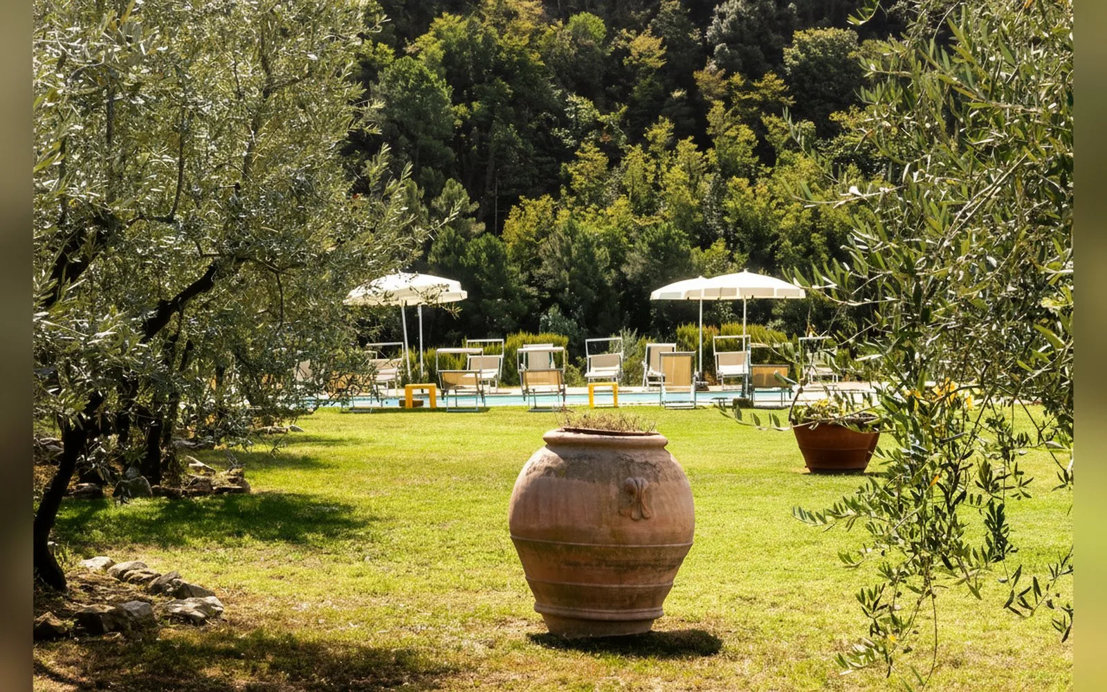 Agriturismo Il Bellini, — galleria foto 156