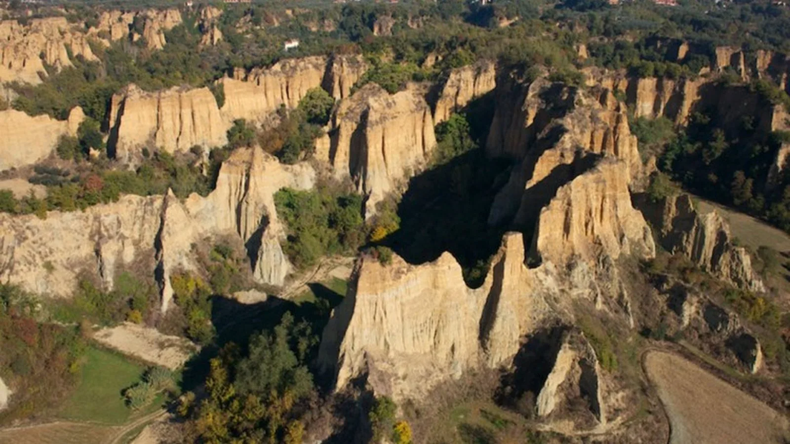 Agriturismo Il Bellini, 