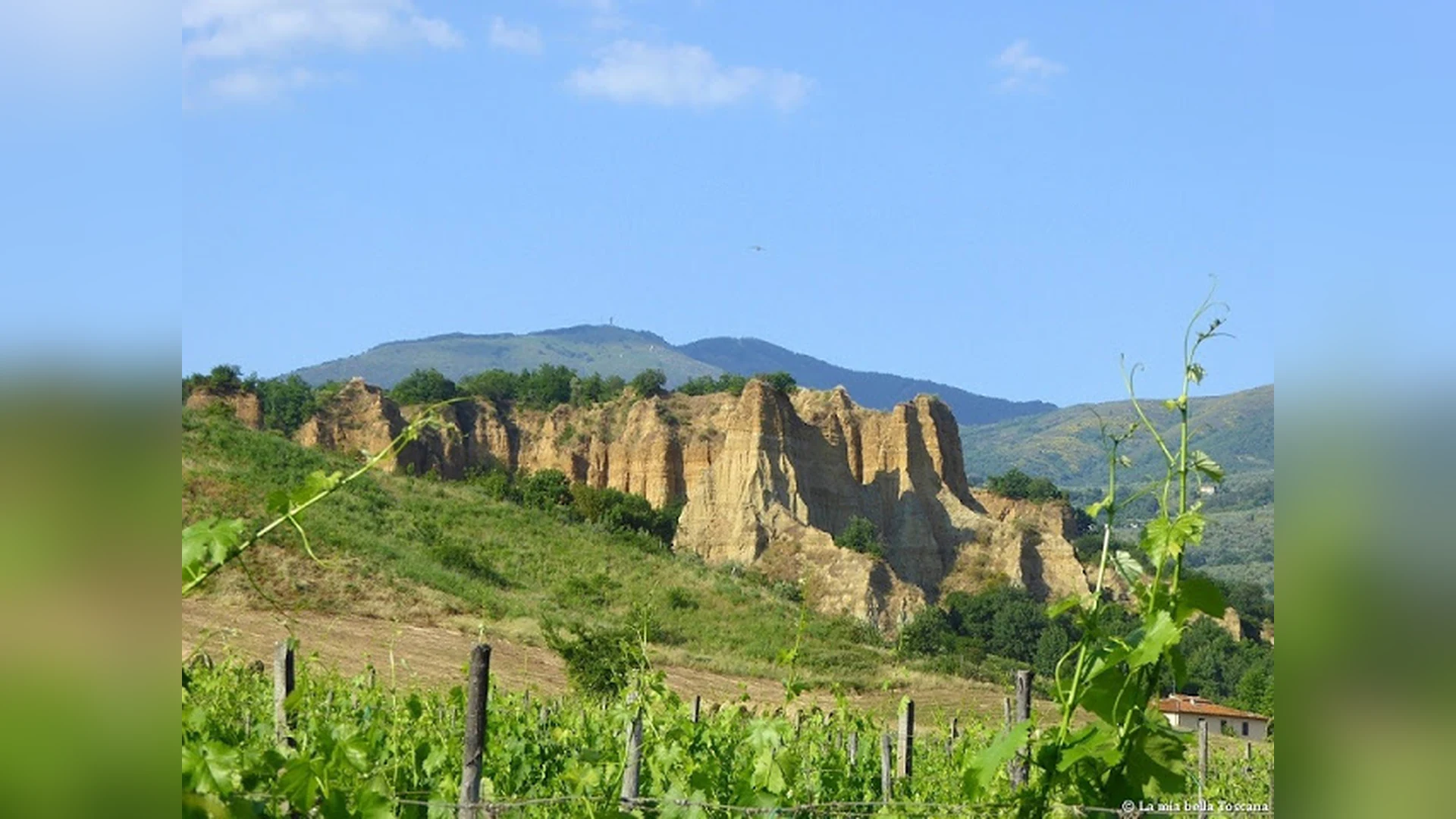Agriturismo Il Bellini, 