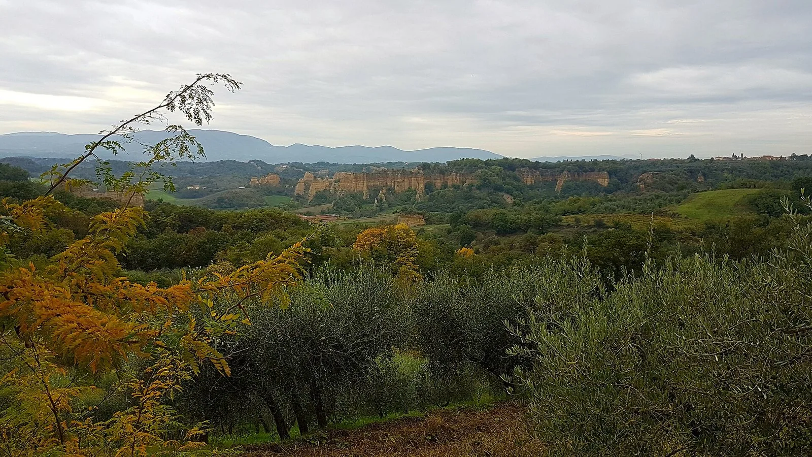 Le pareti chiare delle Balze del Valdarno viste da Piantravigne, tra uliveti e colline boscose in autunno