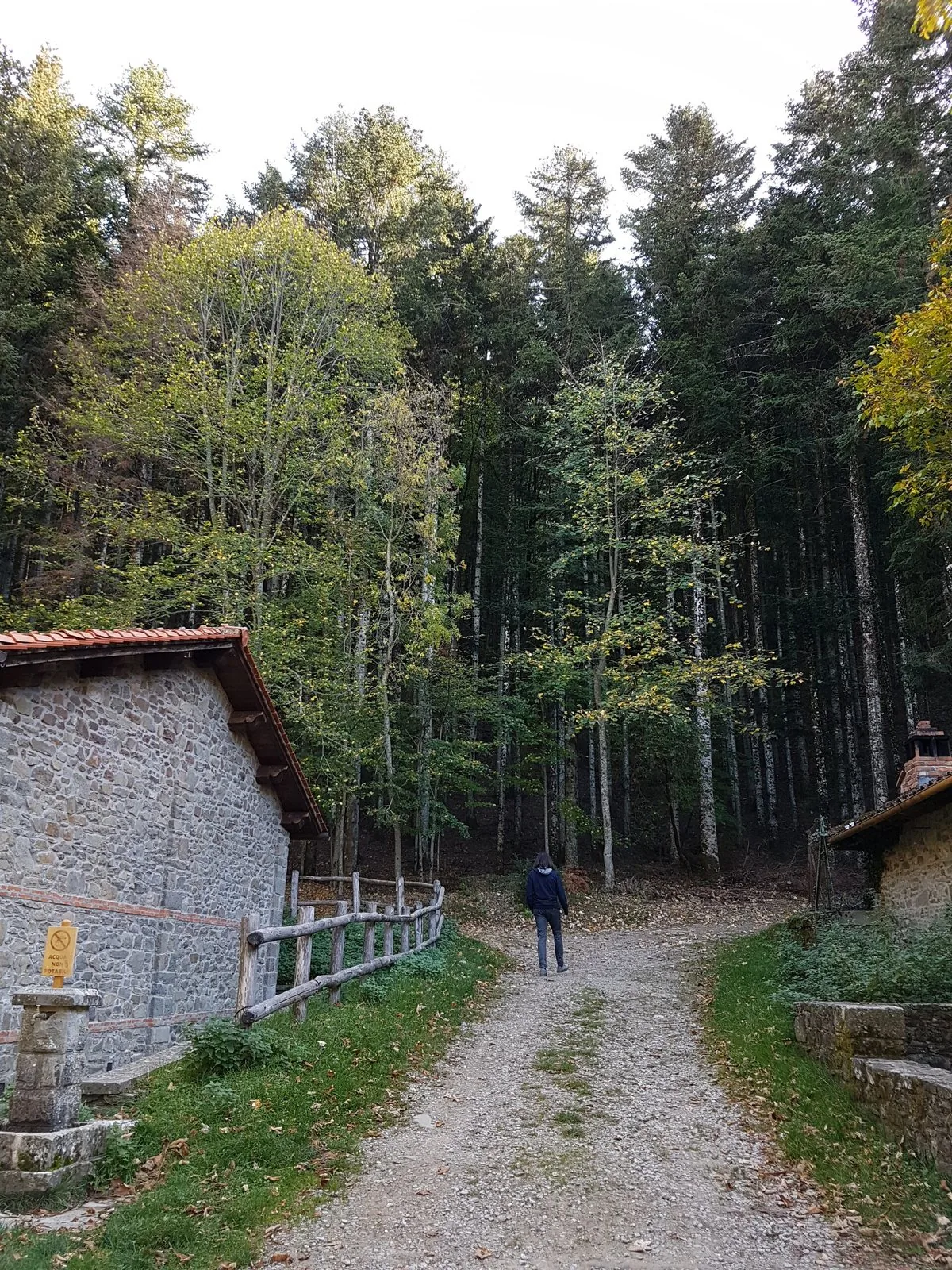 Sentiero sterrato che entra nella foresta di abeti di Vallombrosa, tra due casette in pietra